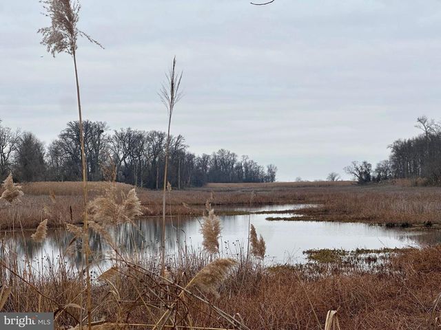 6520 SWAN CREEK RD, Rock Hall, MD 21661