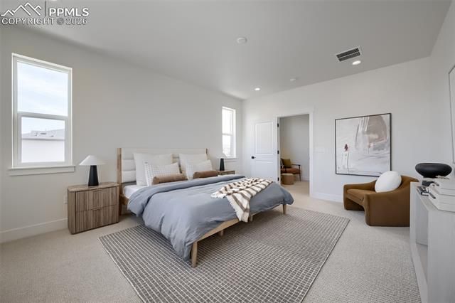 6652 Cornelius Point, Colorado Springs, CO 80923