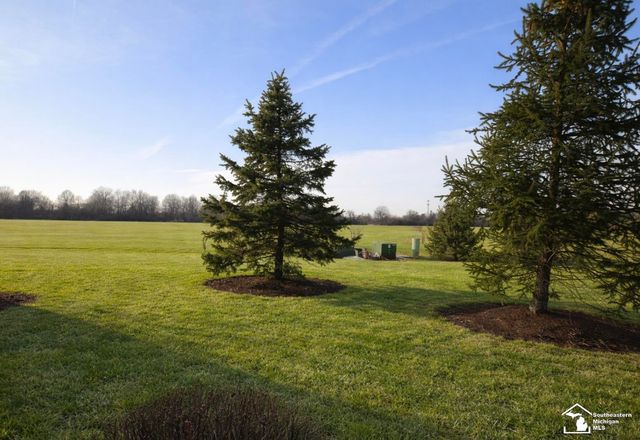 884 Plum Park Drive, Raisinville Twp, MI 48161