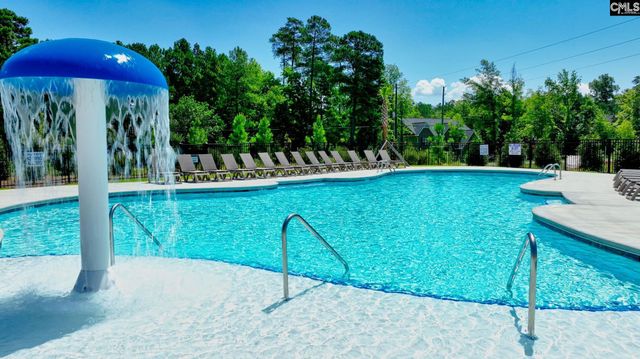 2340 Hadley Crossing, Chapin, SC 29036