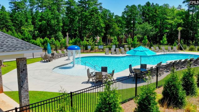 2340 Hadley Crossing, Chapin, SC 29036