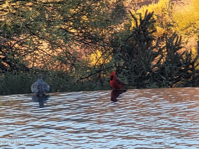 9784 E MIRAMONTE Drive, Scottsdale, AZ 85262