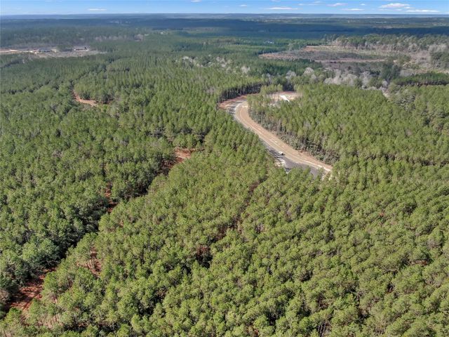 16207 Golden Wood Court, Willis, TX 77378