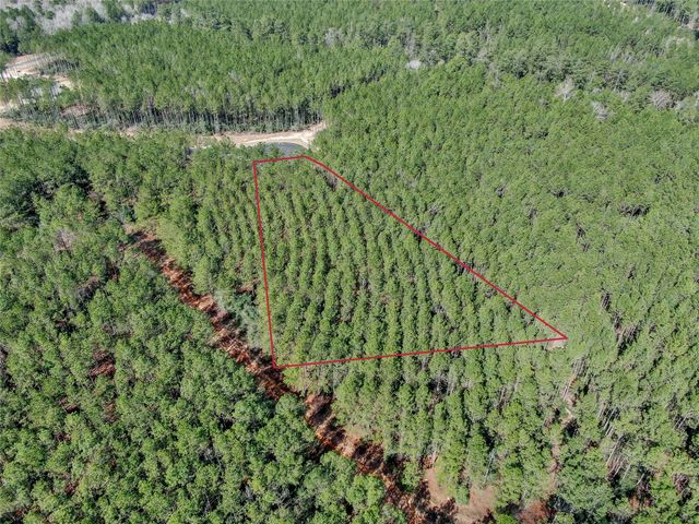 16207 Golden Wood Court, Willis, TX 77378