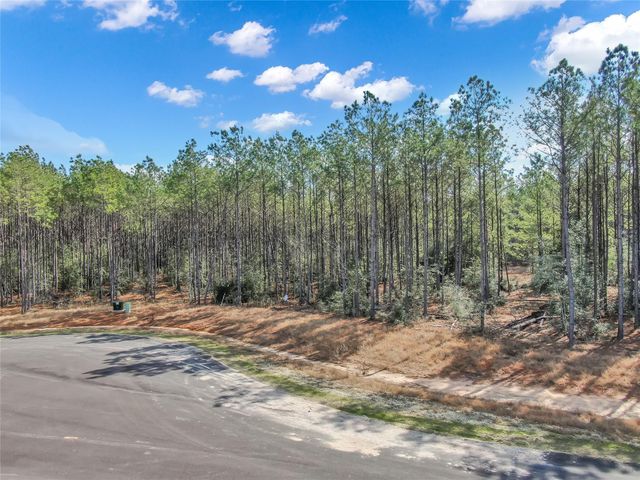 16207 Golden Wood Court, Willis, TX 77378