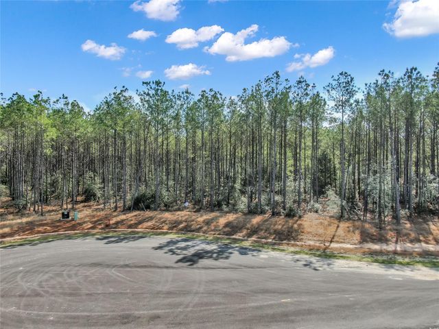 16207 Golden Wood Court, Willis, TX 77378