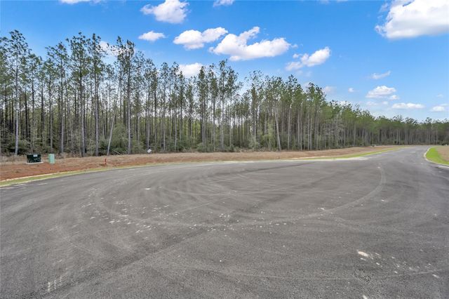 16207 Golden Wood Court, Willis, TX 77378