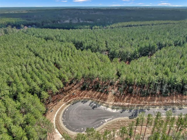 16207 Golden Wood Court, Willis, TX 77378