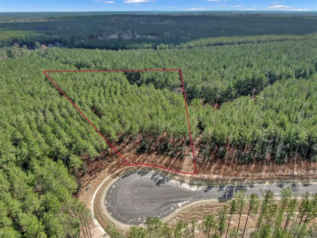 16207 Golden Wood Court, Willis, TX 77378