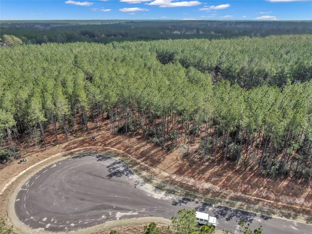 16207 Golden Wood Court, Willis, TX 77378