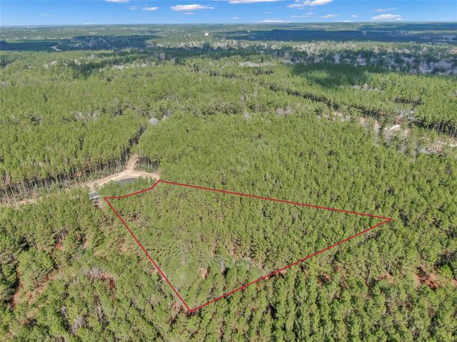 16207 Golden Wood Court, Willis, TX 77378