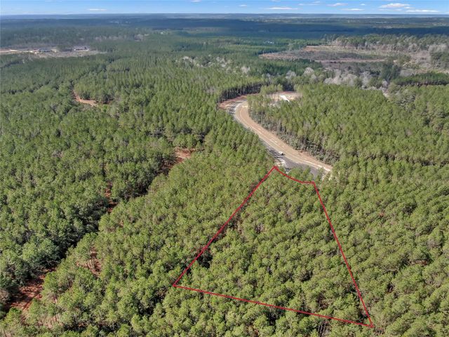 16207 Golden Wood Court, Willis, TX 77378