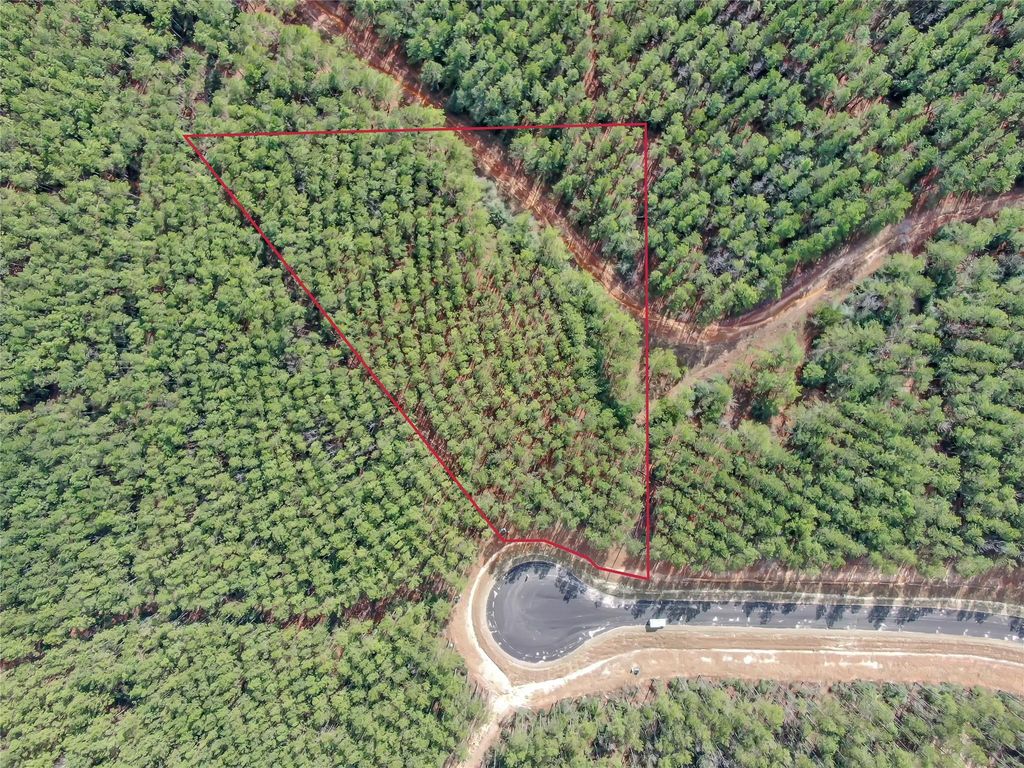 16207 Golden Wood Court, Willis, TX 77378