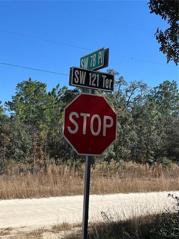 SW 121 TERRACE ROAD, Dunnellon, FL 34432