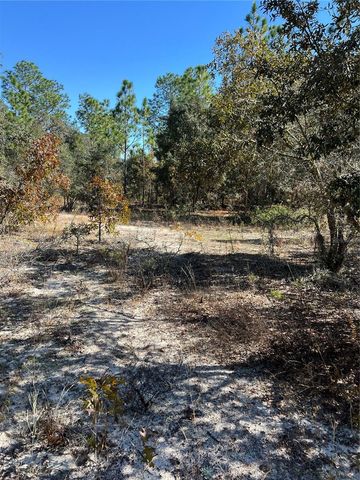 SW 121 TERRACE ROAD, Dunnellon, FL 34432