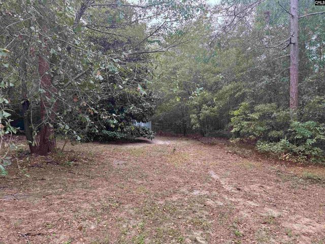 491 Sandy Springs Lane, Lexington, SC 29073