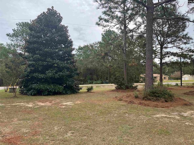 491 Sandy Springs Lane, Lexington, SC 29073