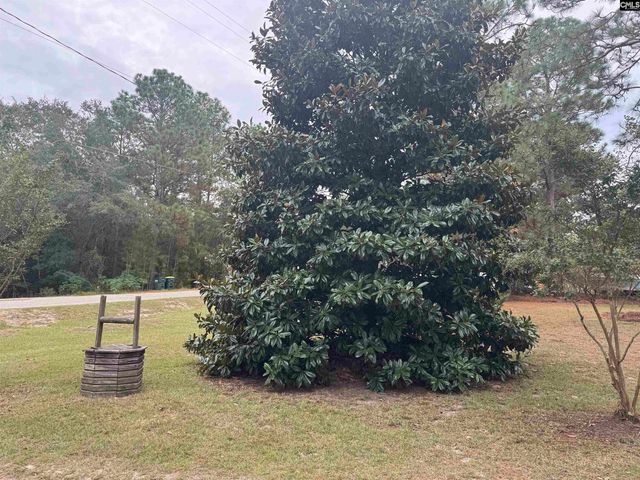 491 Sandy Springs Lane, Lexington, SC 29073