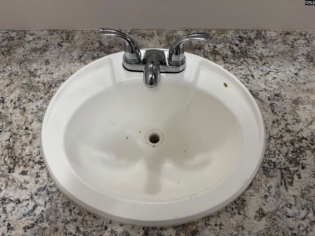 491 Sandy Springs Lane, Lexington, SC 29073