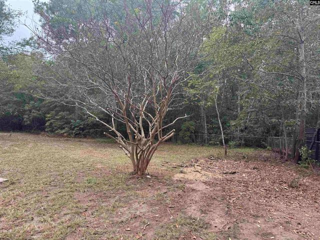 491 Sandy Springs Lane, Lexington, SC 29073