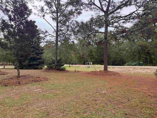 491 Sandy Springs Lane, Lexington, SC 29073