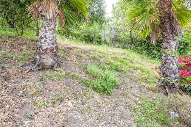 3914 Benedict Canyon Drive, Sherman Oaks, CA 91423