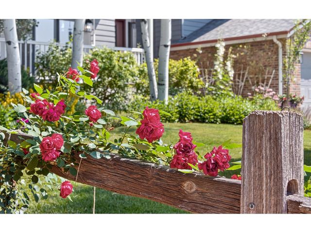 6071 Chelsea Manor Ct, Boulder, CO 80301