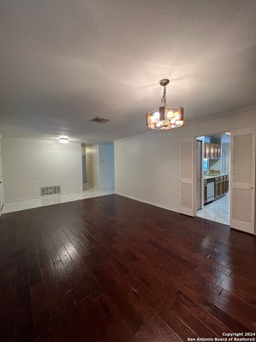 9123 ALPINE TRAIL ST, San Antonio, TX 78250