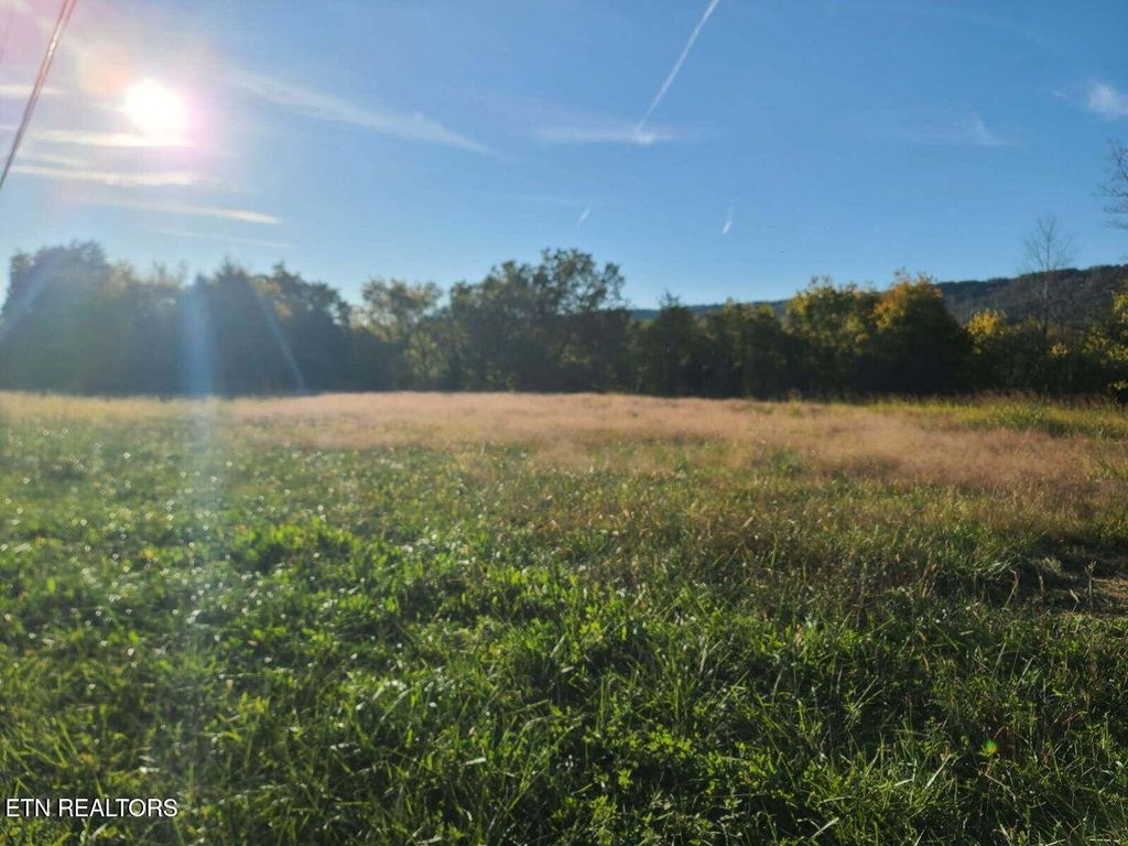 2580 Cawood Rd, Spring City, TN 37381