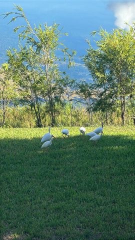 3405 NW 44th St 205, Lauderdale Lakes, FL 33309