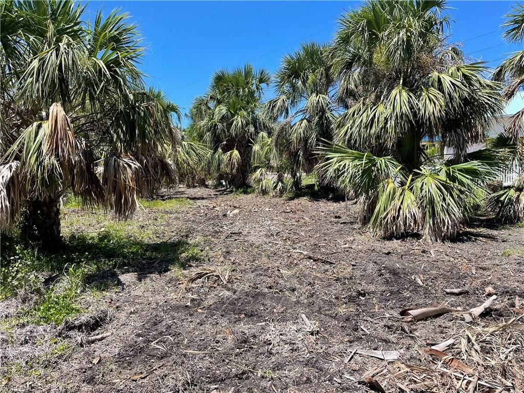 575 Sea Oats DR, SANIBEL, FL 33957 — photo 3