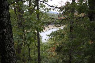 Lot 42 Webb's Landing Lane, Yellville, AR 72687