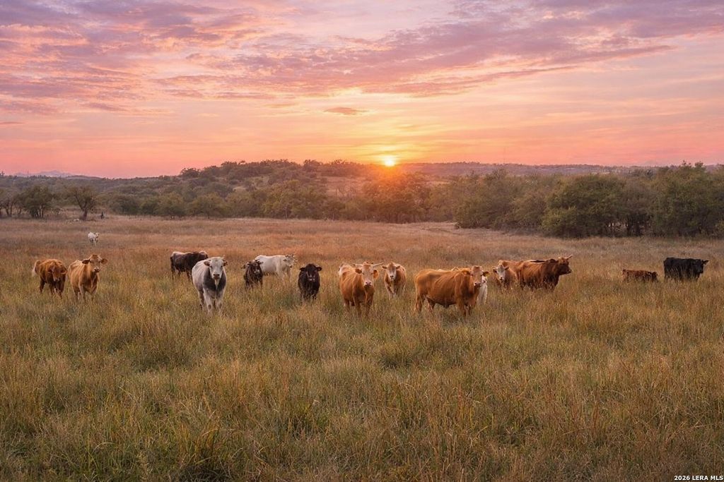 0 Limestone Hollow, Wimberley, TX 78676