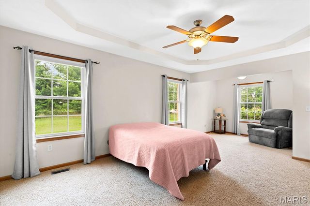 432 Meadowlark Lane, Belleville, IL 62220