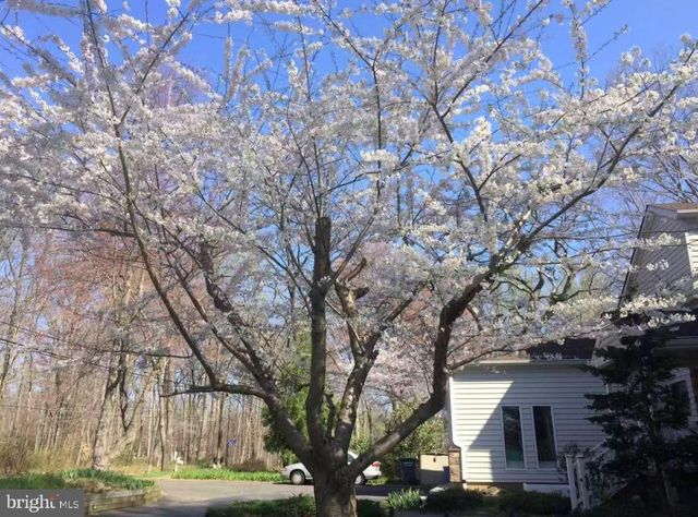 513 SPRINGVALE RD, Great Falls, VA 22066