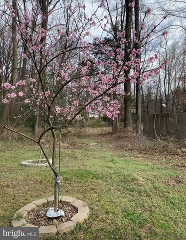 513 SPRINGVALE RD, Great Falls, VA 22066