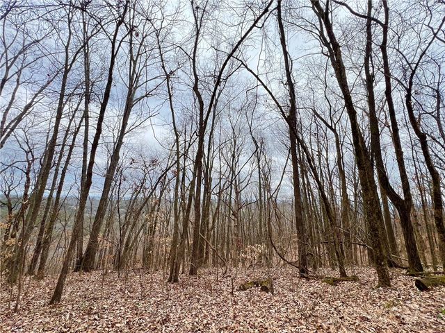 TBD CR 246 265-00160-000, Berryville, AR 72616