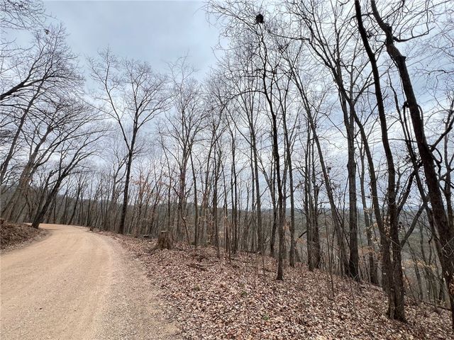 TBD CR 246 265-00160-000, Berryville, AR 72616