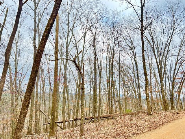 TBD CR 246 265-00160-000, Berryville, AR 72616