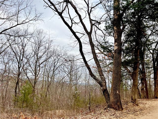 TBD CR 246 265-00160-000, Berryville, AR 72616