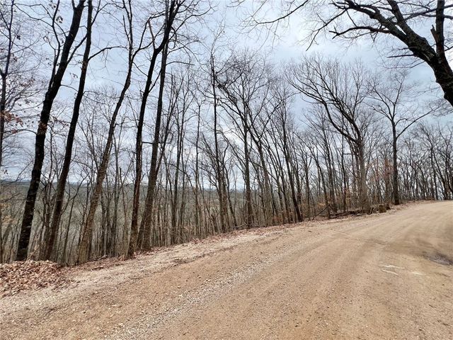 TBD CR 246 265-00160-000, Berryville, AR 72616