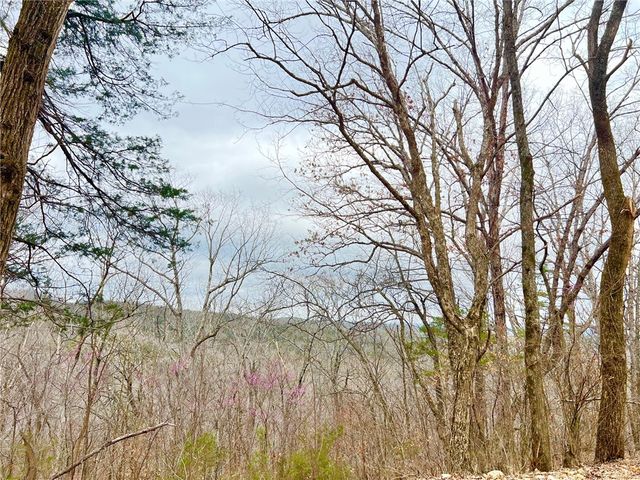 TBD CR 246 265-00160-000, Berryville, AR 72616