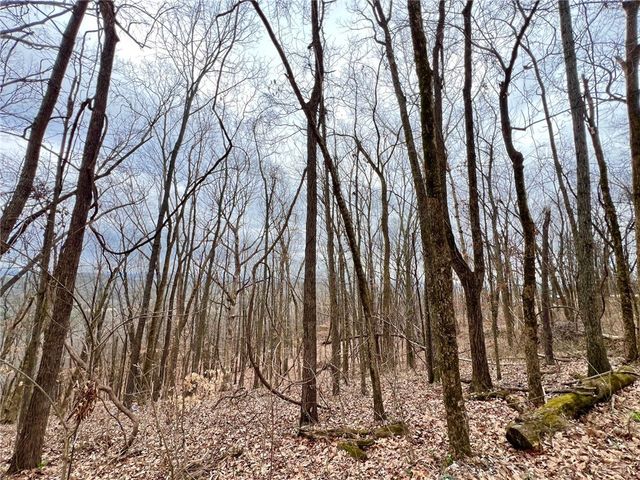 TBD CR 246 265-00160-000, Berryville, AR 72616