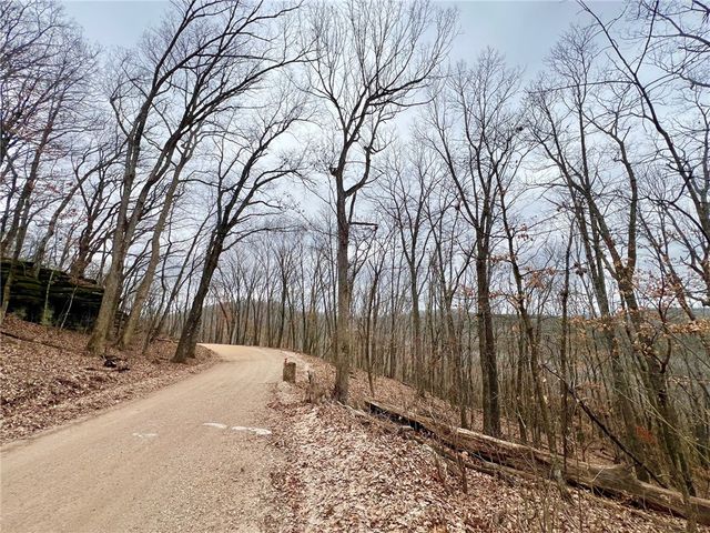 TBD CR 246 265-00160-000, Berryville, AR 72616