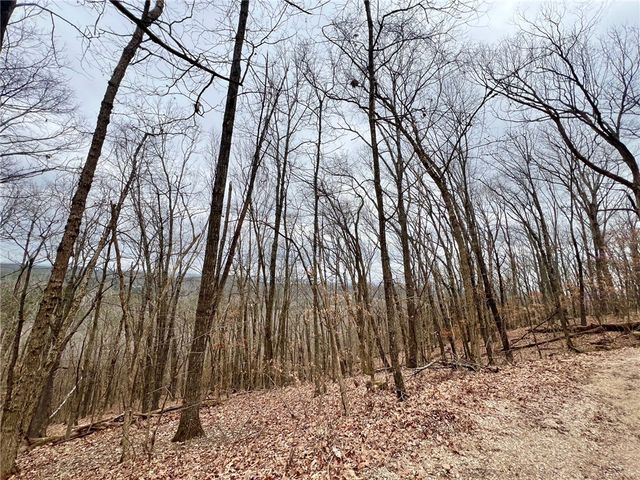 TBD CR 246 265-00160-000, Berryville, AR 72616