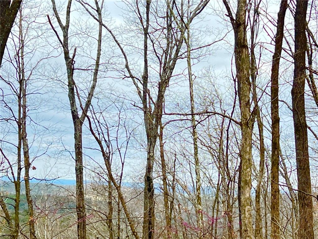 TBD CR 246 265-00160-000, Berryville, AR 72616