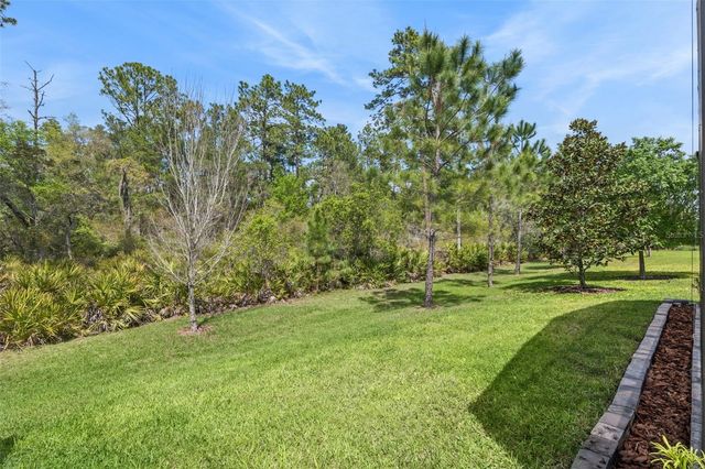 1157 AVERY MEADOWS WAY, Deland, FL 32724
