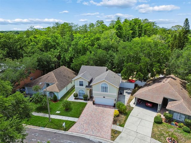 9803 LONG MEADOW DRIVE, Tampa, FL 33615