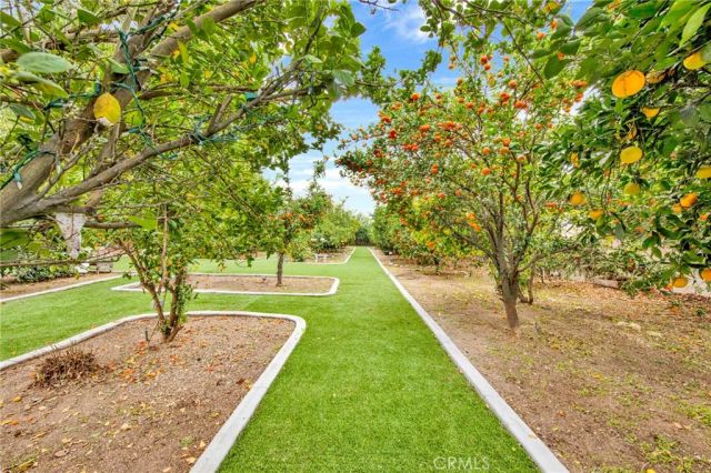6986 Church Avenue, Highland, CA 92346