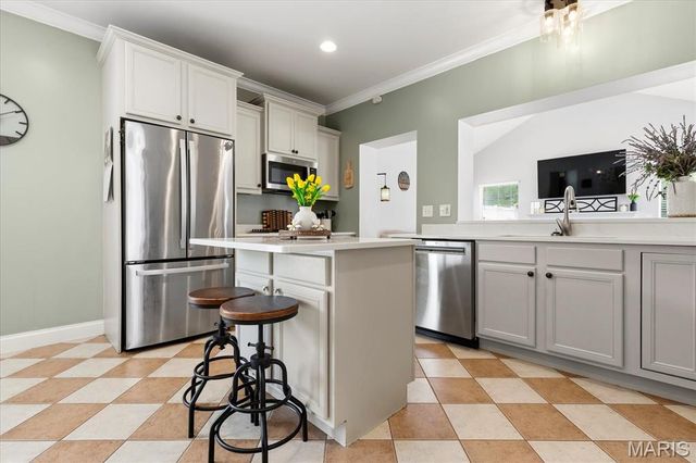 21 W Waymire Avenue, St Louis, MO 63119